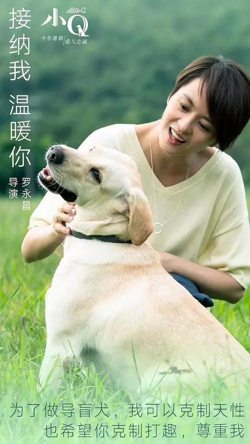 办理假公关员证